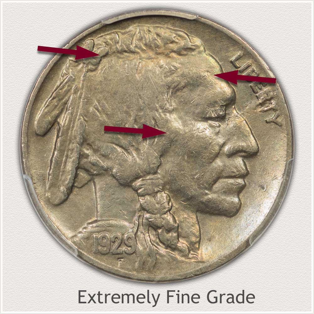 Example of an Extremely Fine Grade 1929 Buffalo Nickel