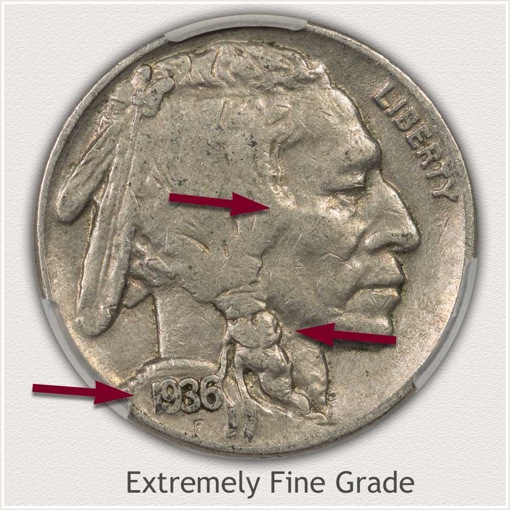 Example of an Extremely Fine Grade 1936 Buffalo Nickel