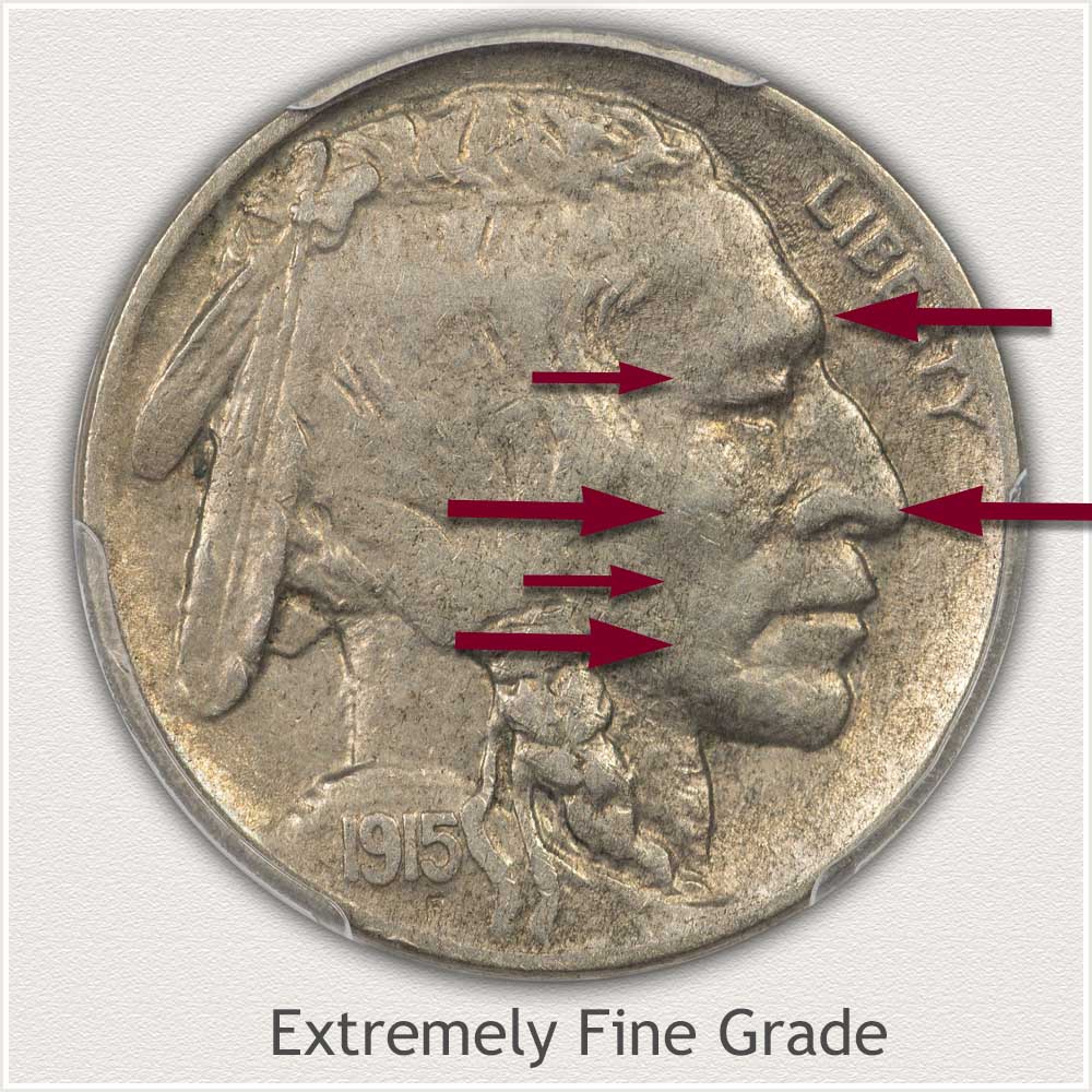 Obverse View of a Buffalo Nickel in the Extremely Fine Grade Condition