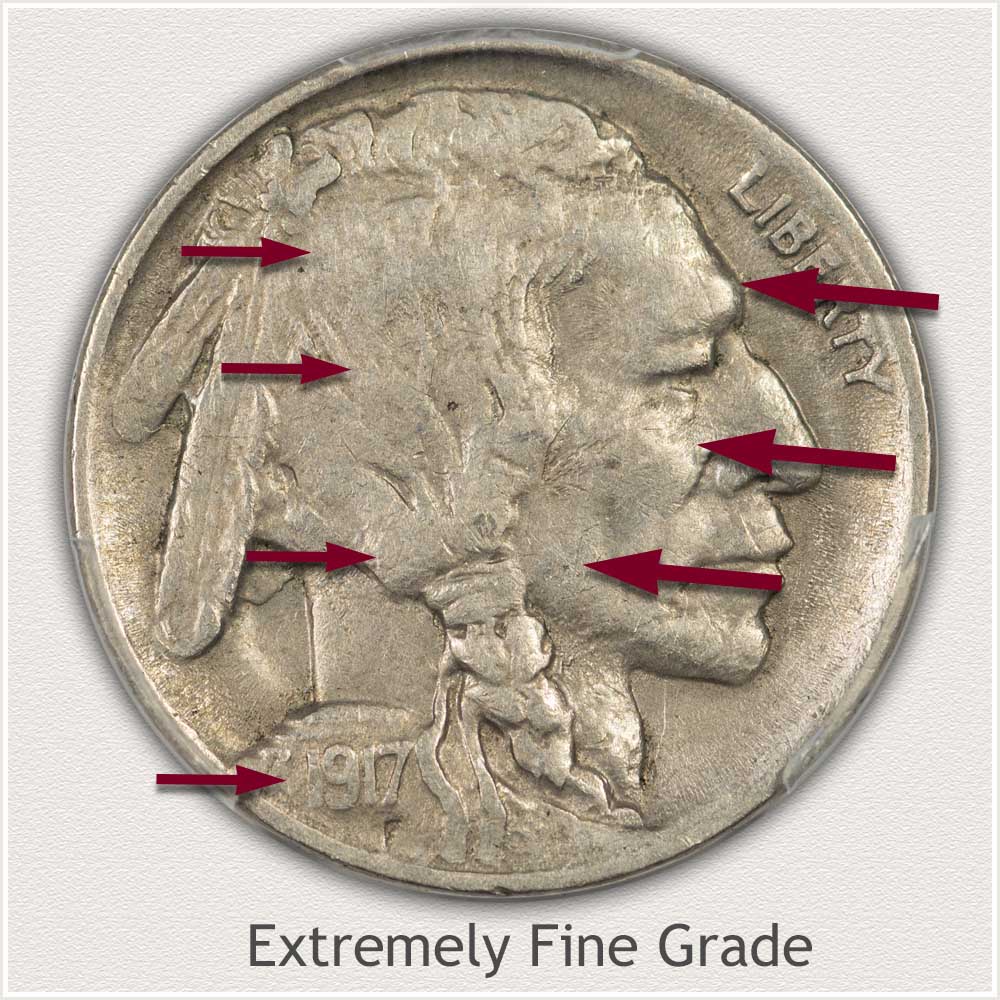 Obverse: Magnified View of an Extremely Fine Grade Buffalo Nickel