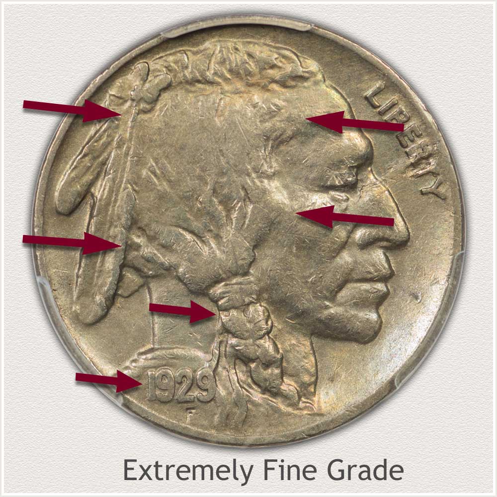 Obverse of an Extremely Fine Grade Buffalo Nickel