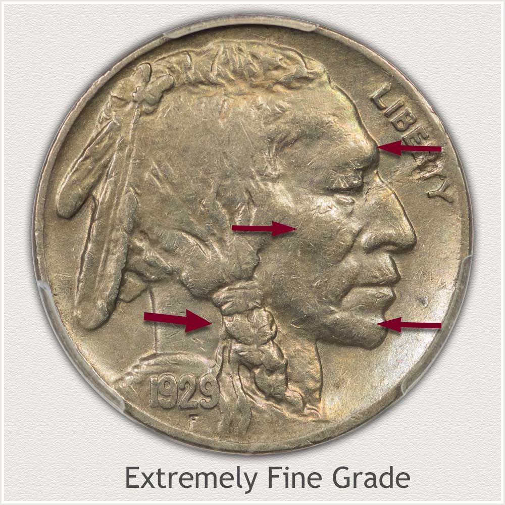 Obverse View of an Extremely Fine Grade Buffalo Nickel