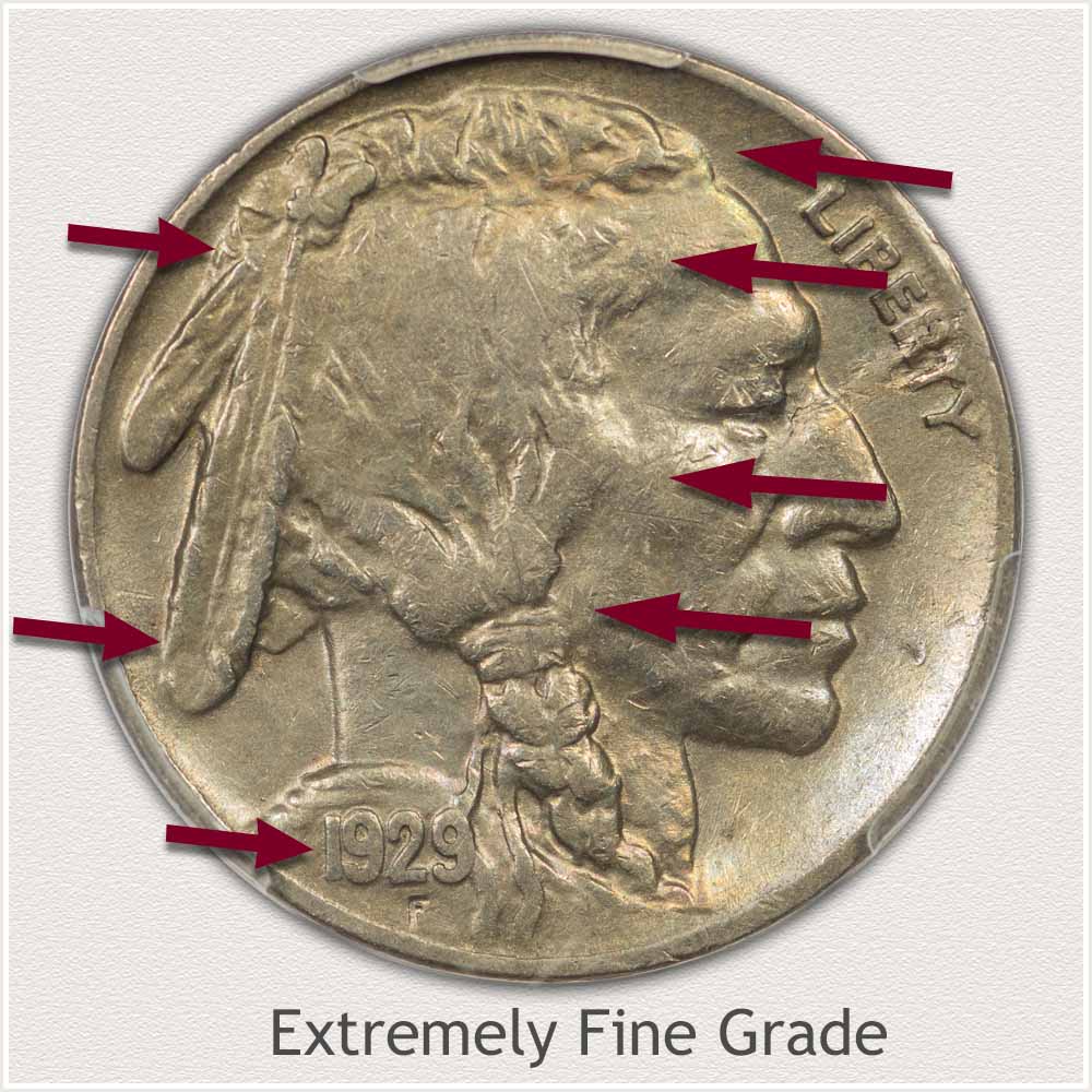 An Extremely Fine Grade Buffalo Nickel