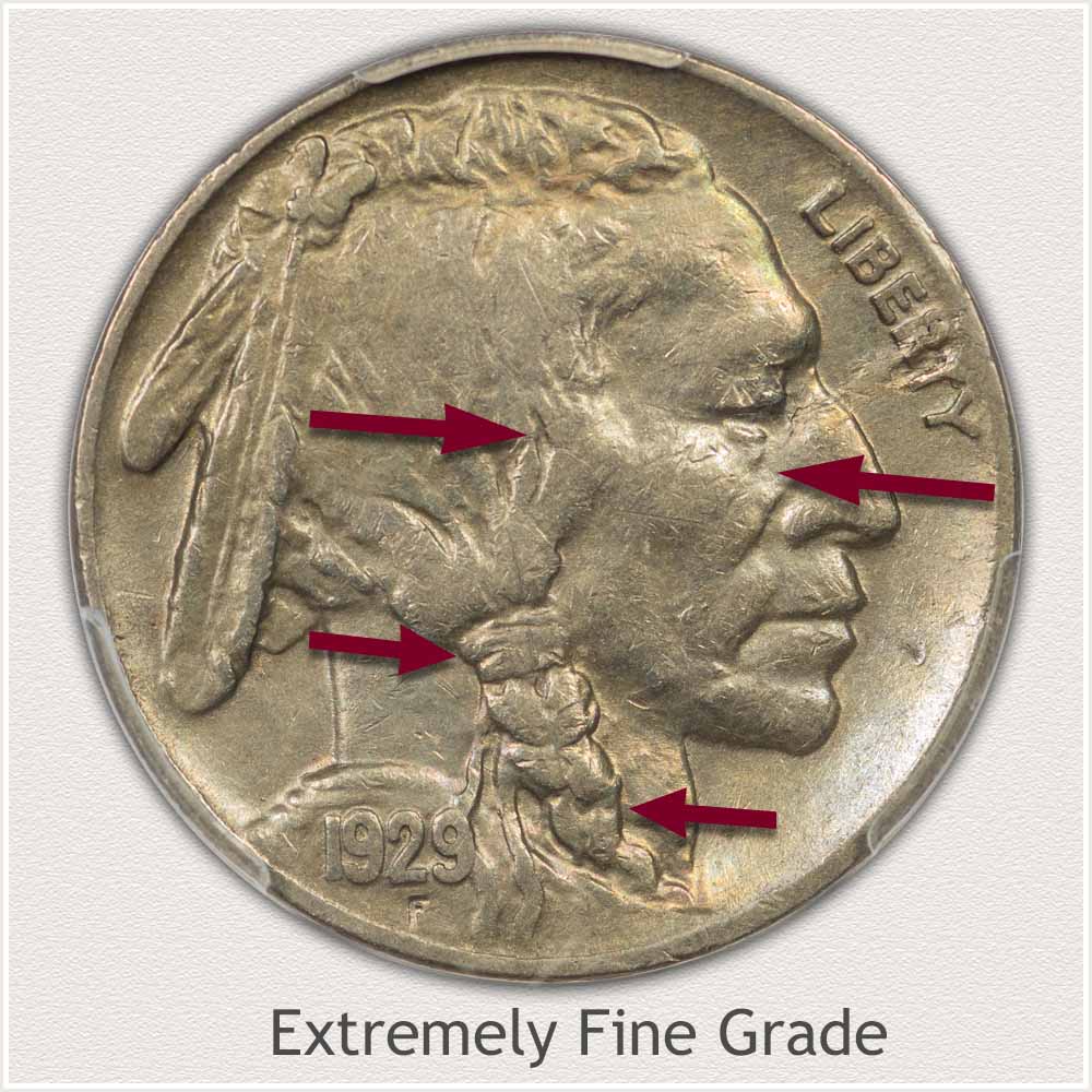 Extremely Fine Grade Buffalo Nickel