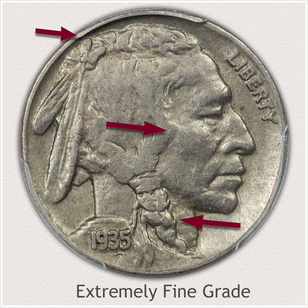 Obverse View Extremely Fine Grade Buffalo Nickel