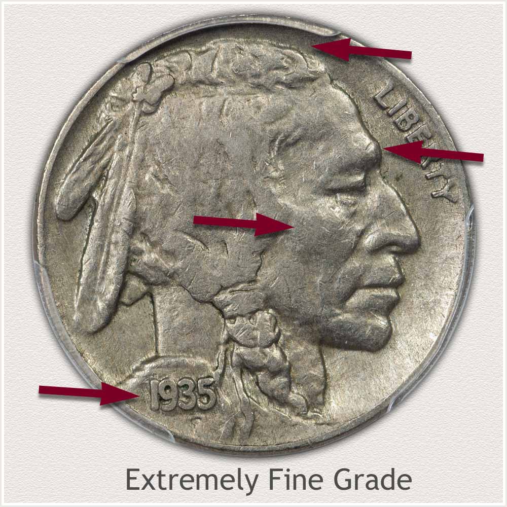 Obverse of a Buffalo Nickel Graded Extremely Fine Condition