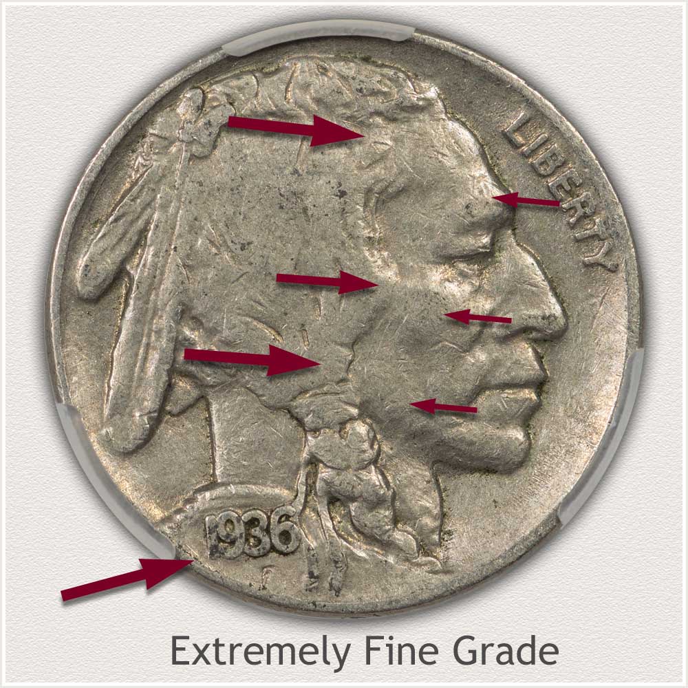 Obverse View Extremely Fine Grade Buffalo Nickel