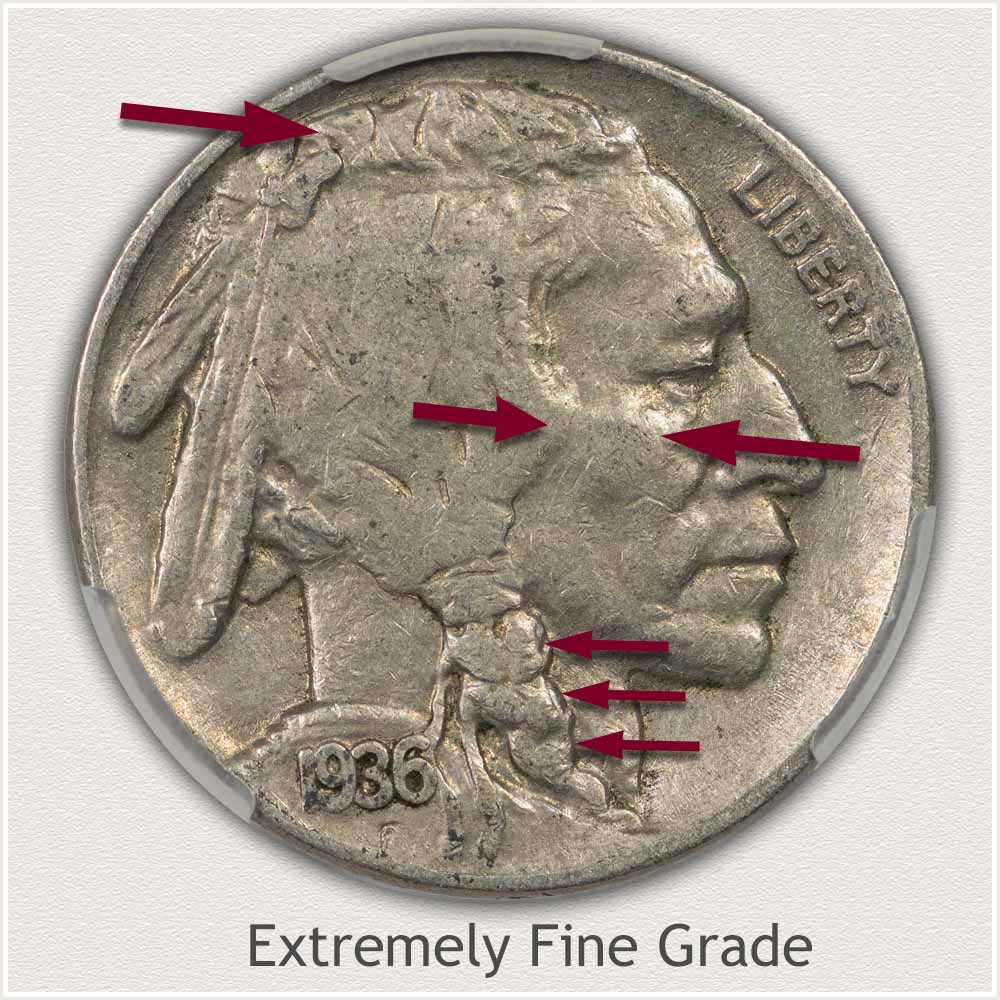 Example of an Extremely Fine Grade Buffalo Nickel