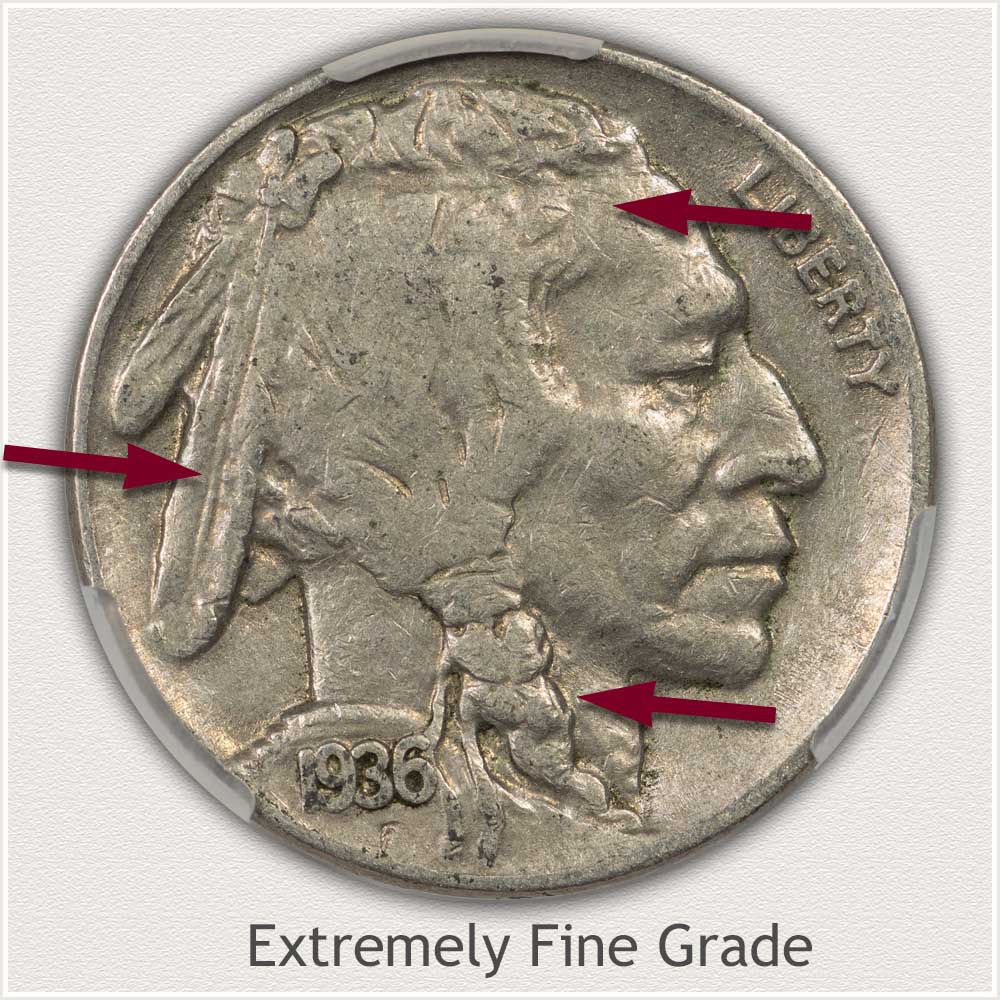 Example of an Extremely Fine Grade Buffalo Nickel