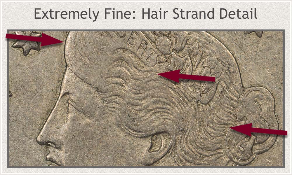 Close-Up View of Liberty's Hair Strand Detail in the Extremely Fine Grade Condition