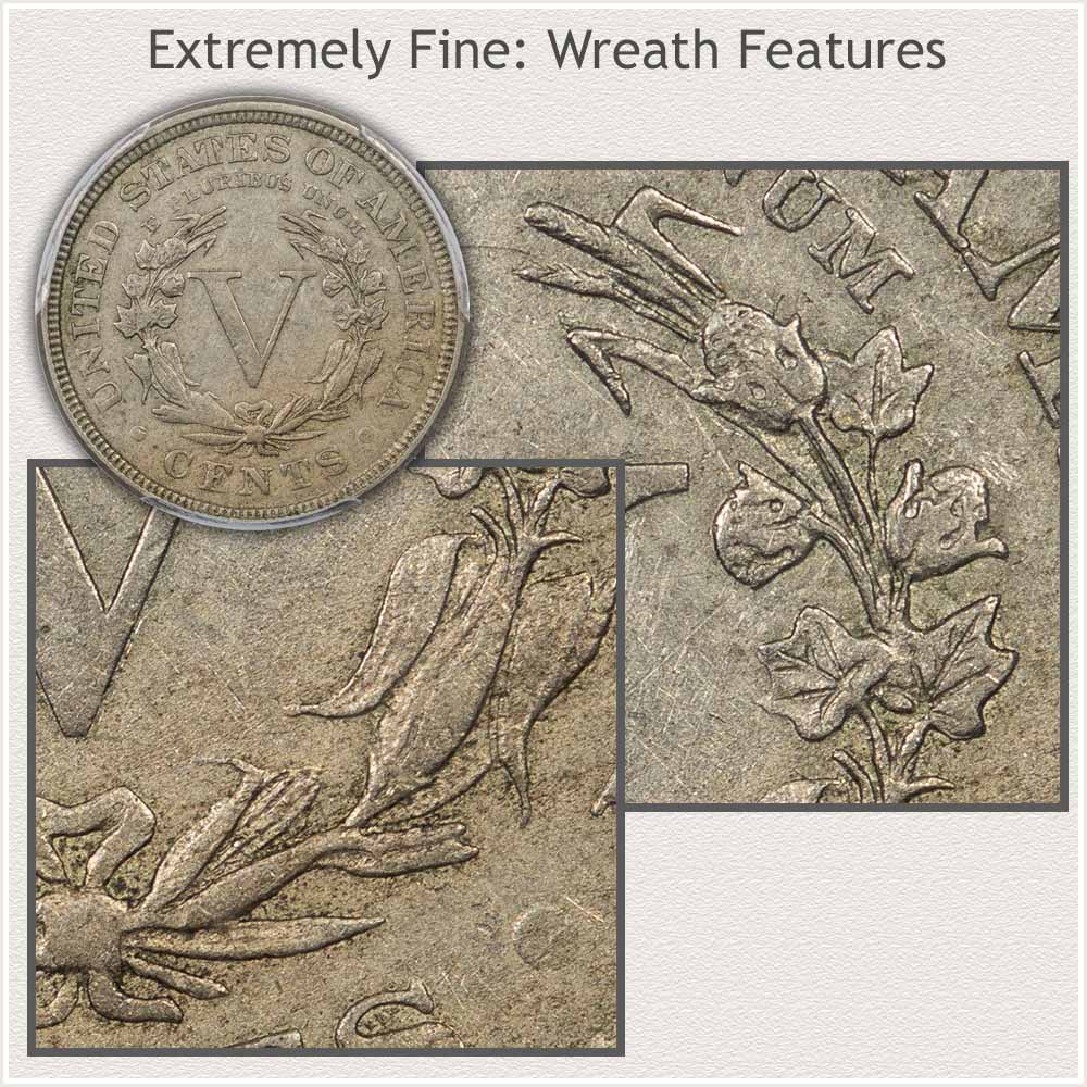 Close-Up of Corn Leaves and Cotton on Extremely Fine Grade Liberty Nickel