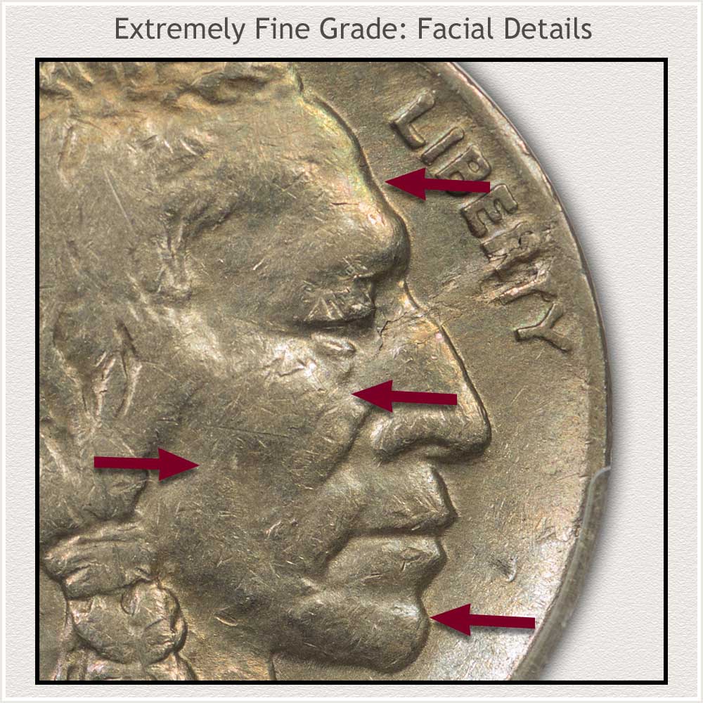 Close Up of Facial Details on an Extremely Fine Grade Buffalo Nickel