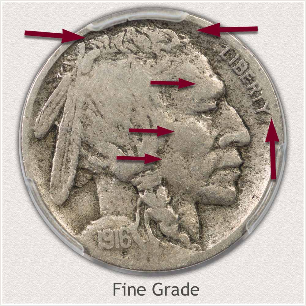 Obverse View of a Fine Grade Buffalo Nickel