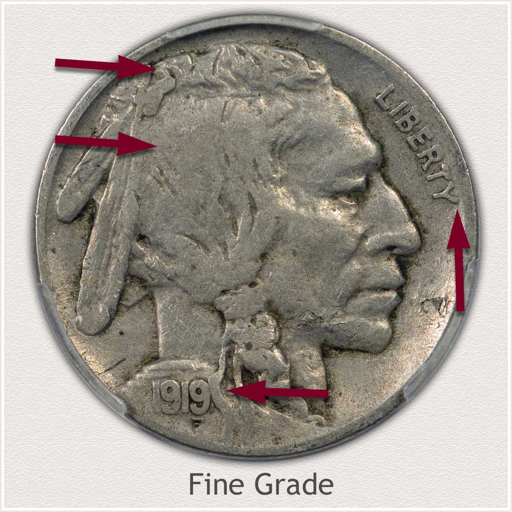 Enlarged View of a Fine Grade Buffalo Nickel