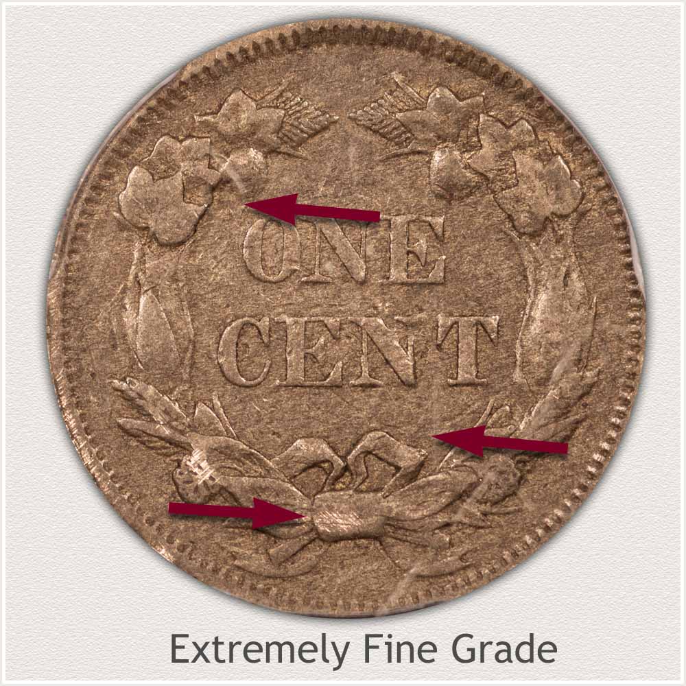 Reverse View: Extremely Fine Grade Flying Eagle Penny