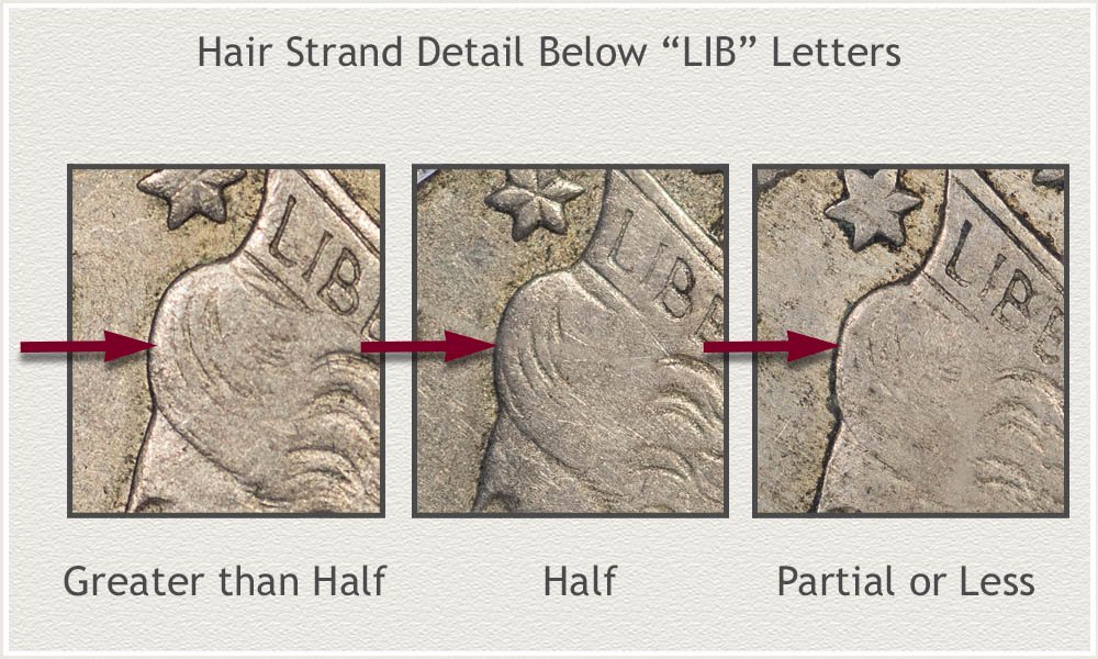 Examples of Wear Levels on the Hair Below LIB Letters
