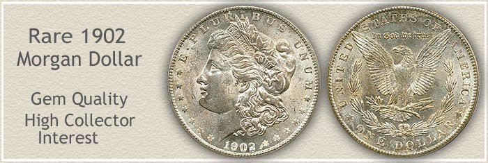 Rare Gem Quality 1902-S Morgan Silver Dollar