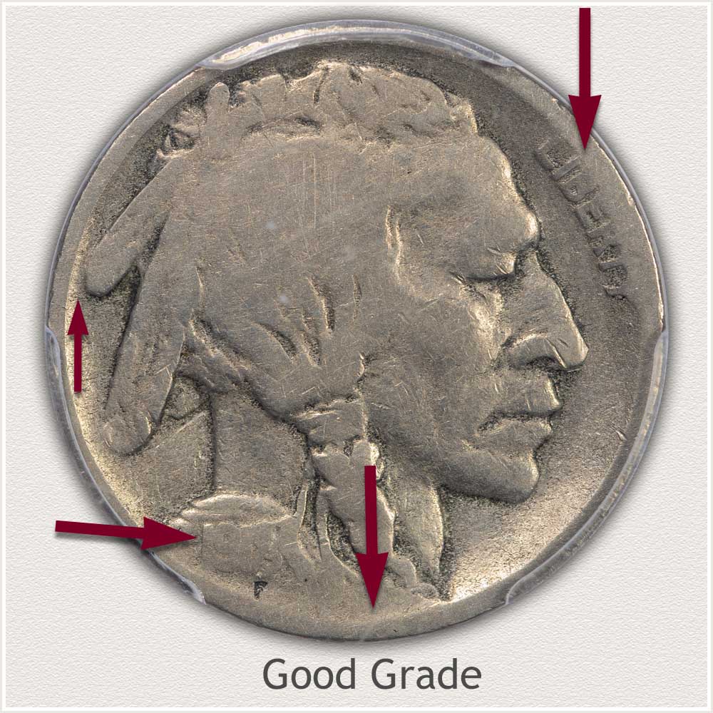 Large Obverse View of a Good Grade Buffalo Nickel