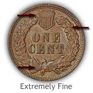 Grading Reverse Extremely Fine Indian Head Pennies