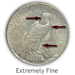 Grading Reverse Extremely Fine Peace Silver Dollars