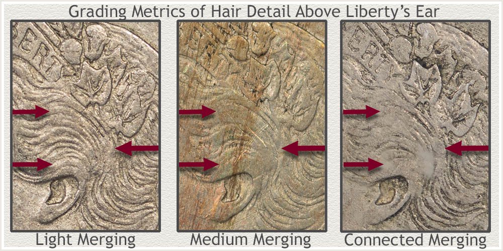 Close-Up Illustrations of Wear Levels on the Hair Above the Ear