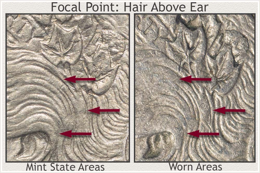 A Focus on the Hair Above the Ear as a Visual Metric