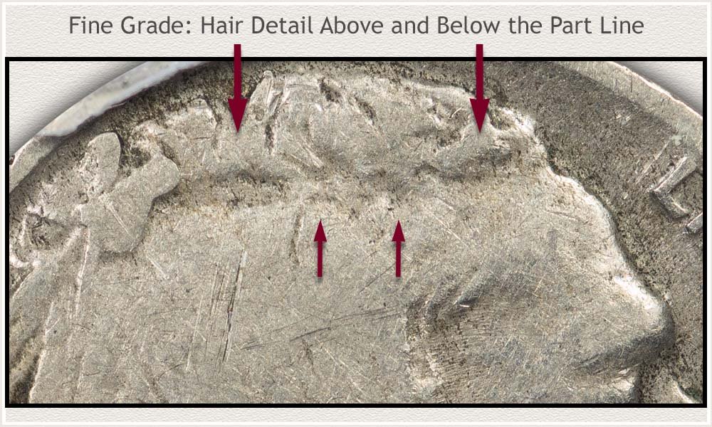 Close Up View of Hair Detail Fine Grade Buffalo Nickel