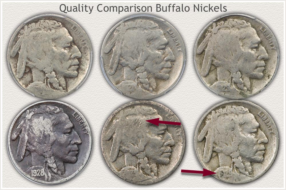 Comparing Quality Features on Buffalo Nickels