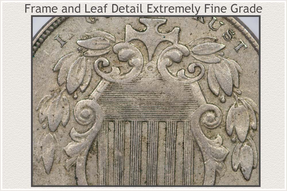 Close-Up of The Leaf and Frame Detail