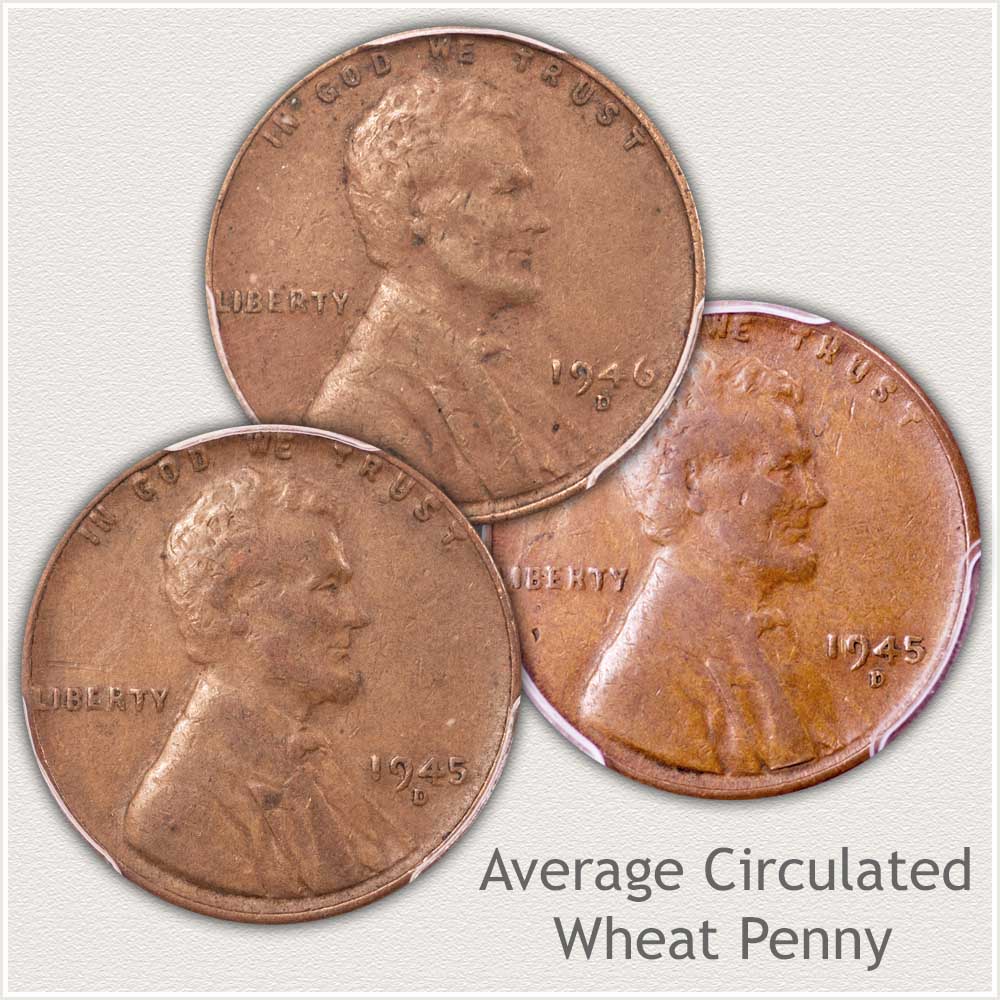 Average Condition Lincoln Penny
