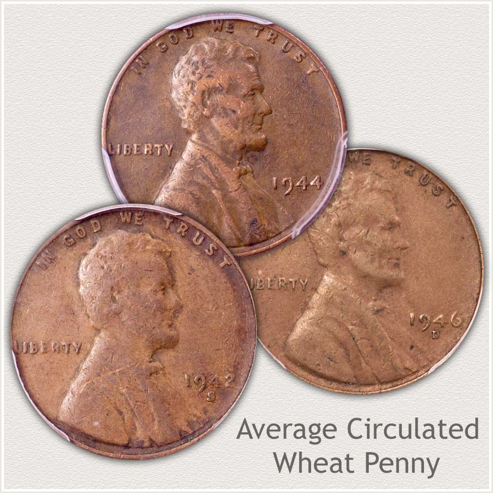 Three Average Circulated Condition Wheat Pennies