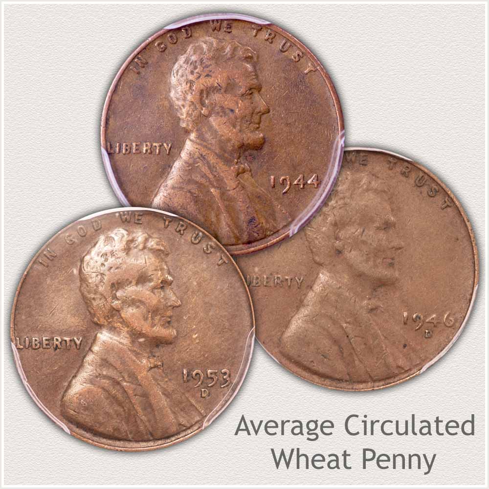 Average Condition Lincoln Penny