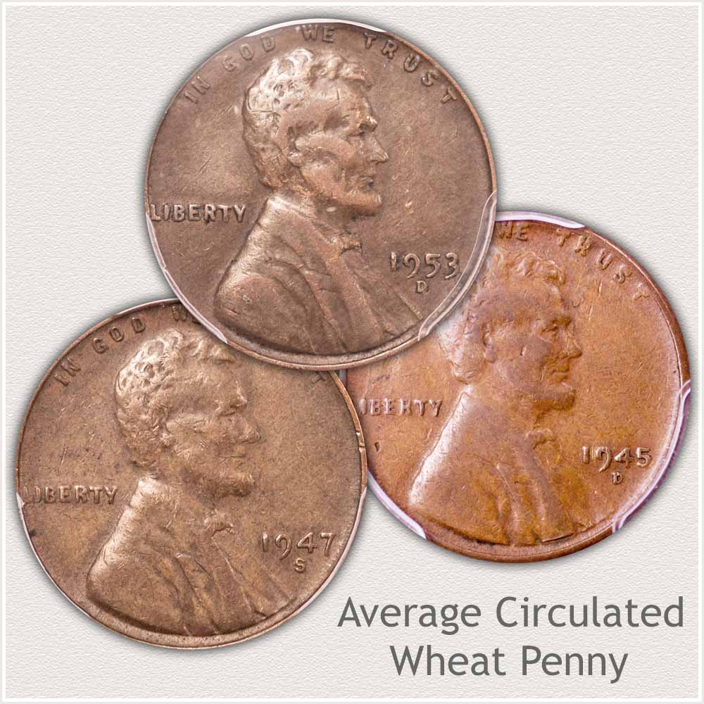 Average Circulated Lincoln Penny