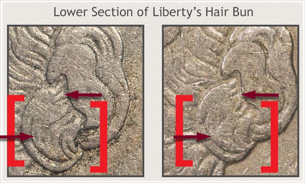 Lower Section Hair Bun Detail Comparing Half or More to Less than Half Detail Metric