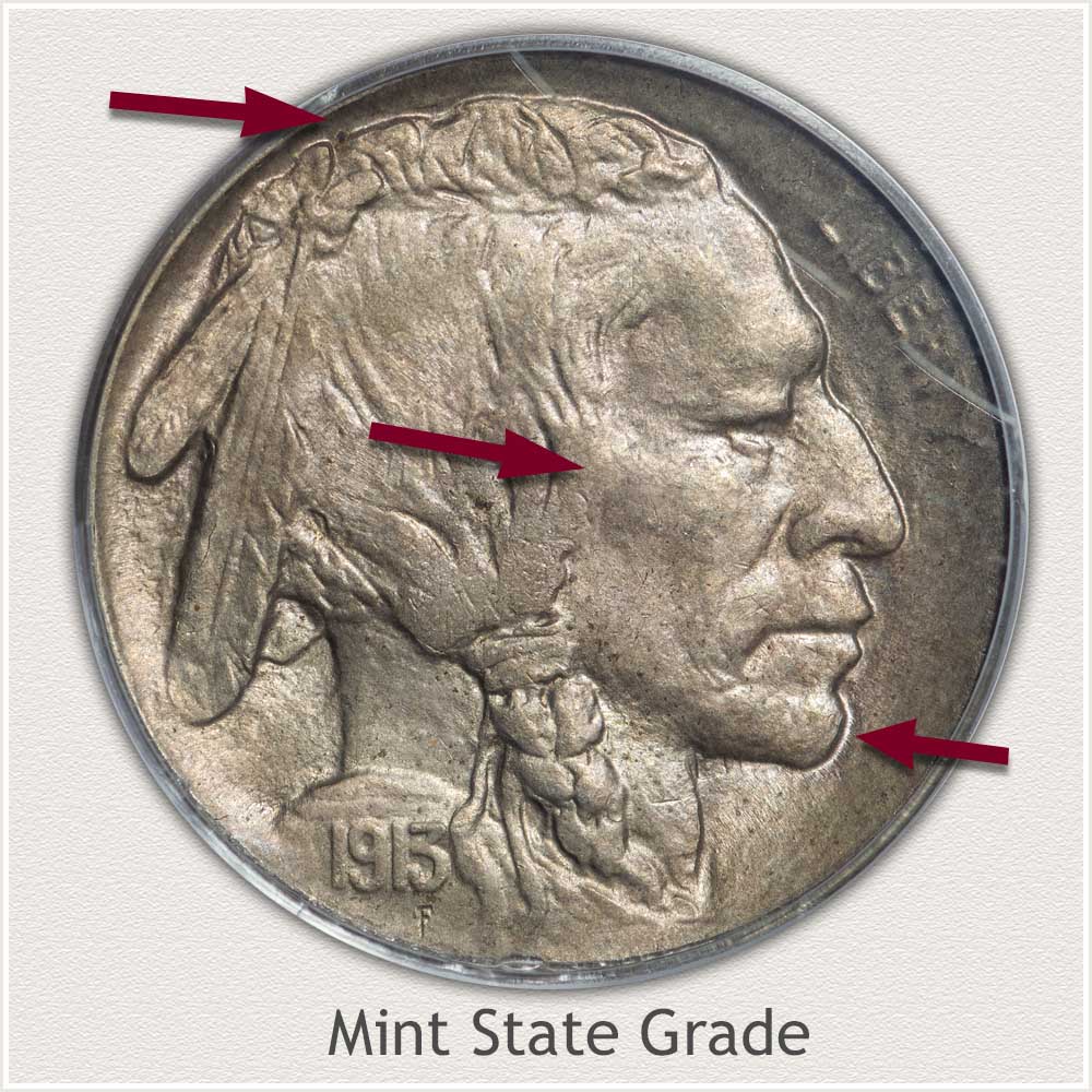 Enlarged View of a Mint State 1913 Buffalo Nickel