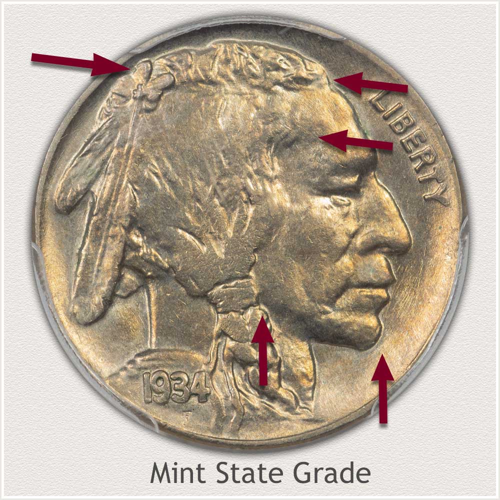 Enlarged View of a Mint State 1934 Buffalo Nickel