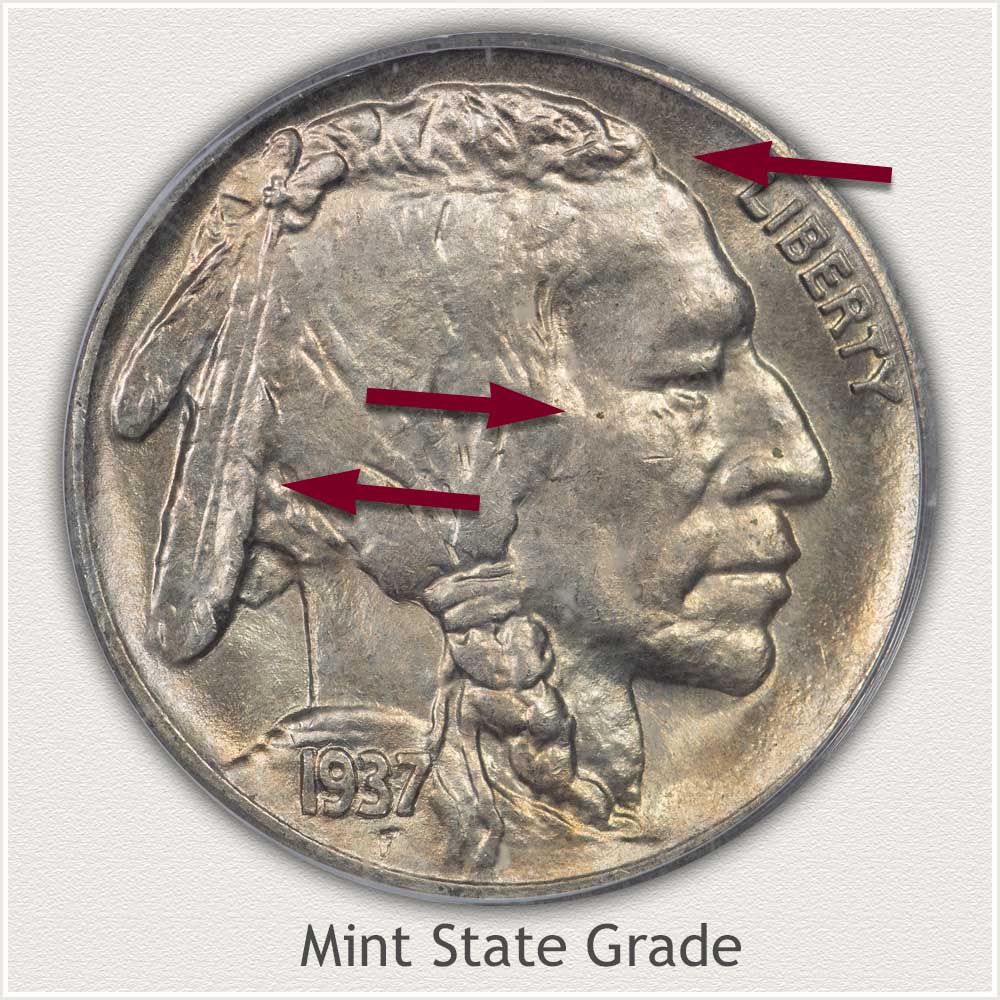 Grading Example of a Mint State 1937 Buffalo Nickel