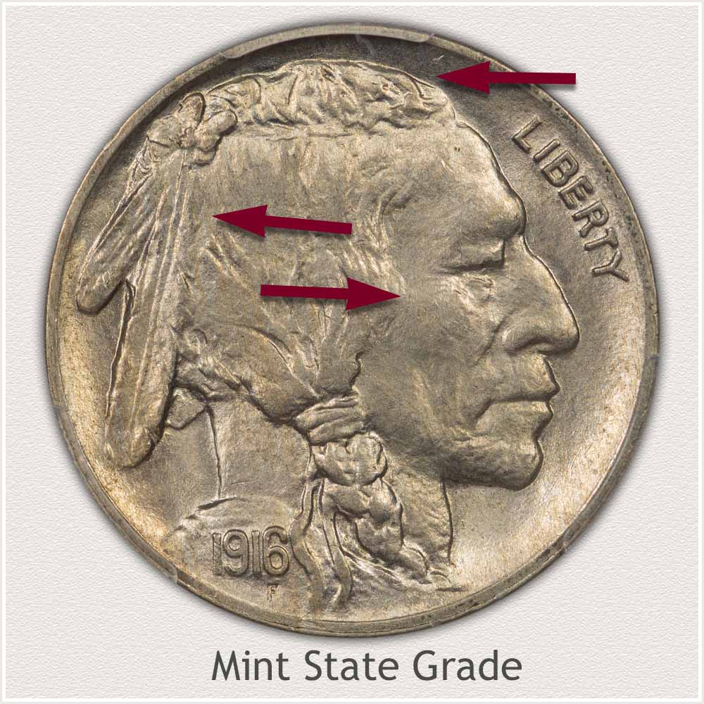 Mint State Grade Buffalo Nickel