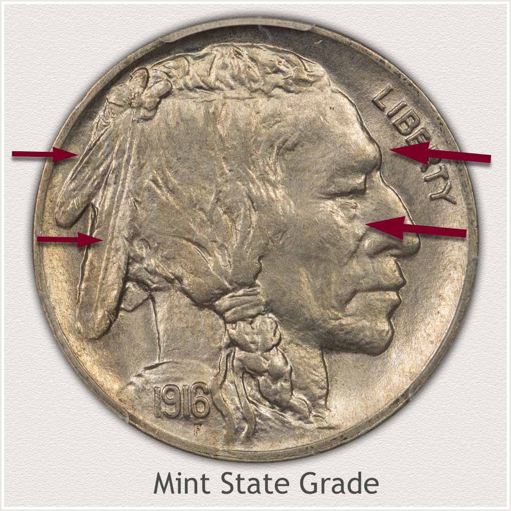Close Up of a Mint State Grade Buffalo Nickel