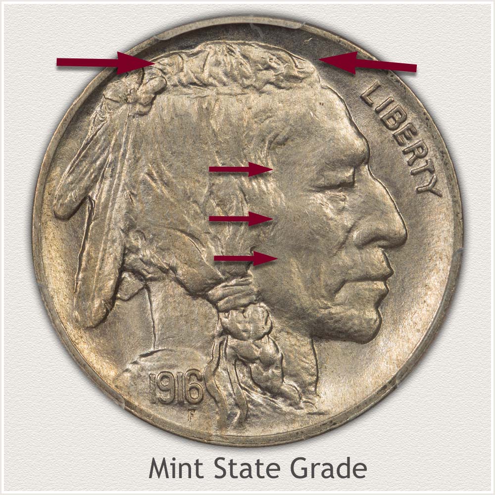 Obverse View of a Mint State Grade Buffalo Nickel