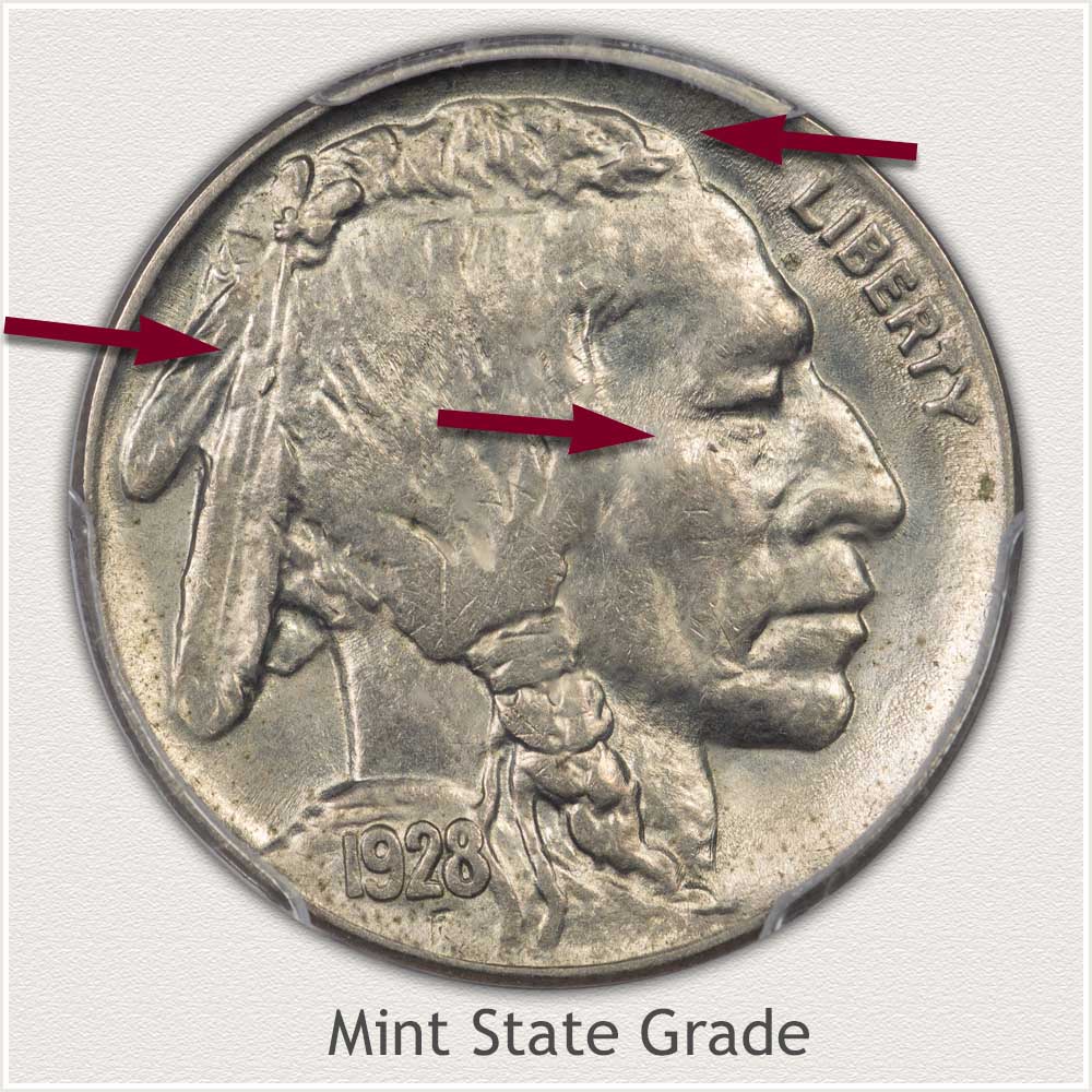 Obverse View of a Mint State Grade Buffalo Nickel