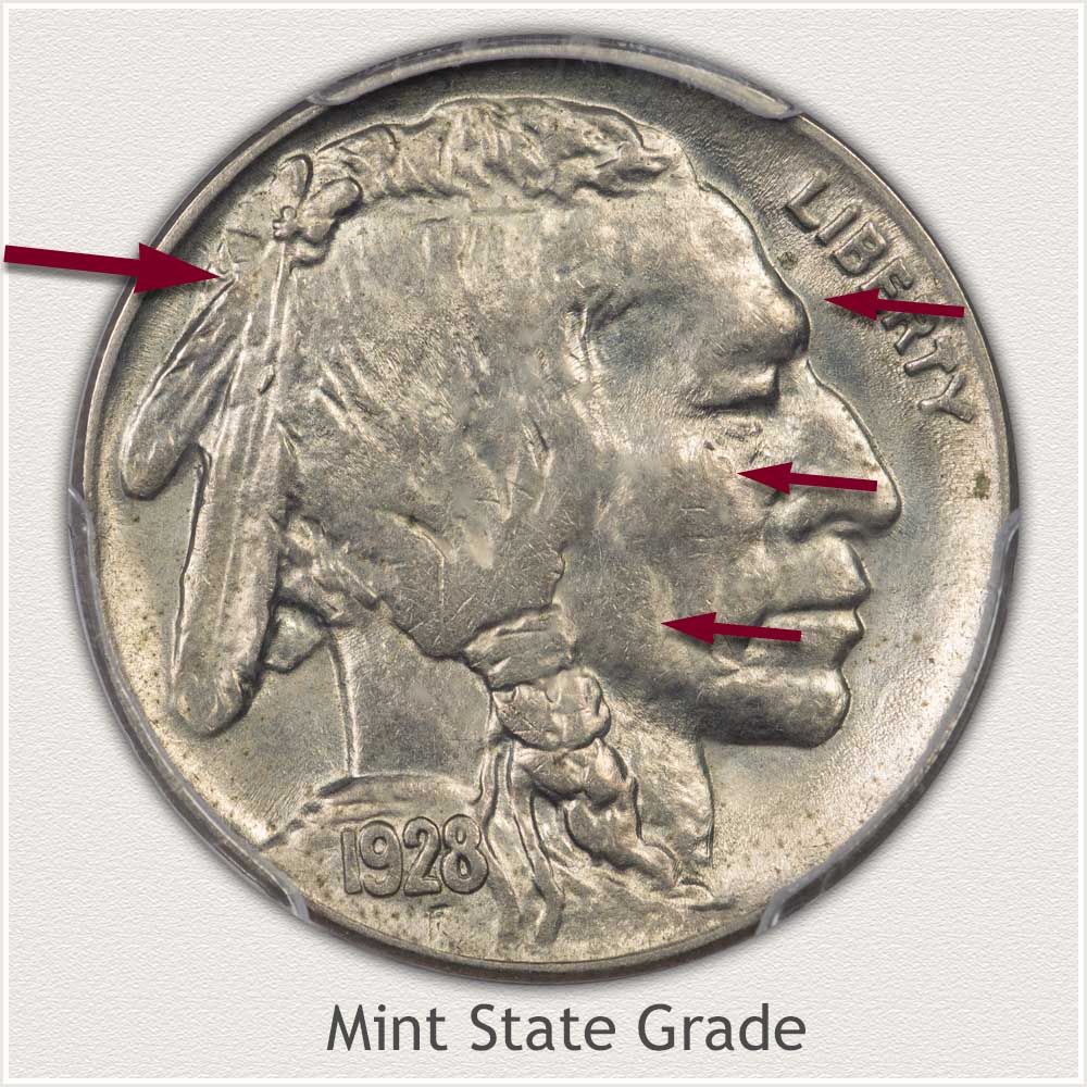 Obverse View of a Mint State Grade Buffalo Nickel