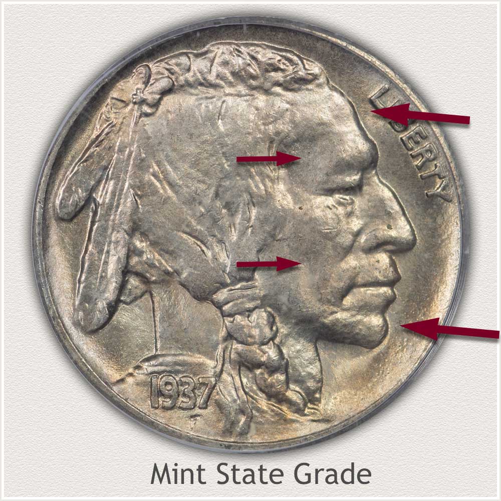 Obverse View of a Mint State Buffalo Nickel