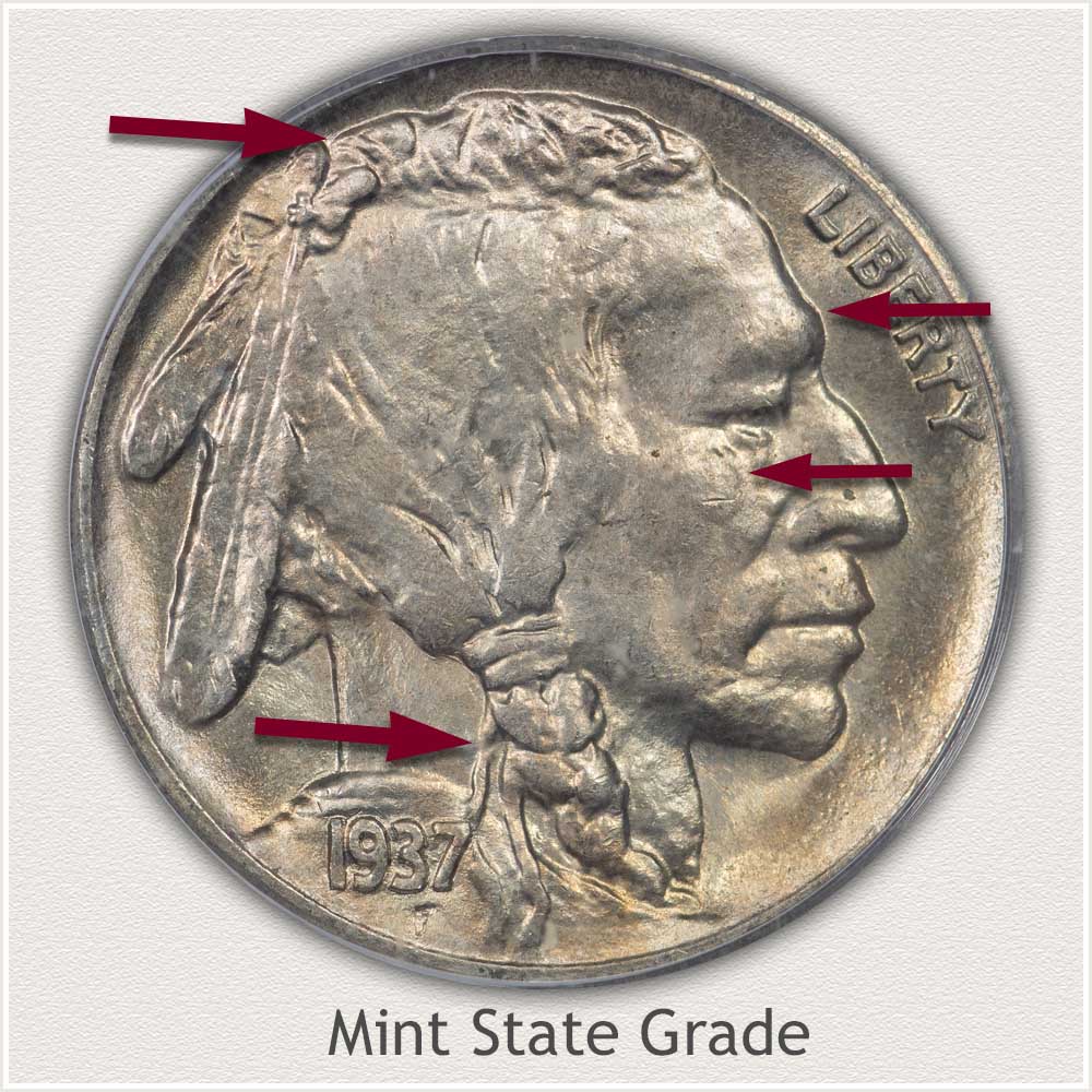 Mint State Grade Buffalo Nickel