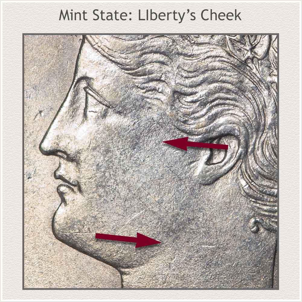 Liberty's Cheek in Mint State Condition