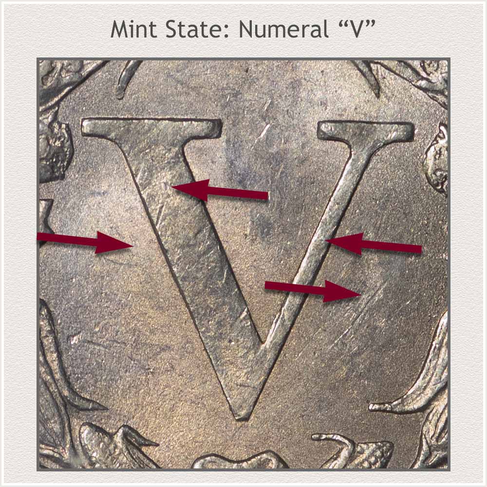 Large Numeral V on a Mint State Grade Liberty Nickel