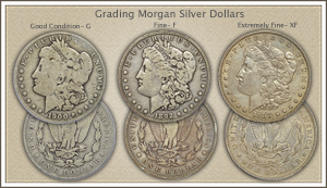 Visit...  Video | Grading Morgan Silver Dollars