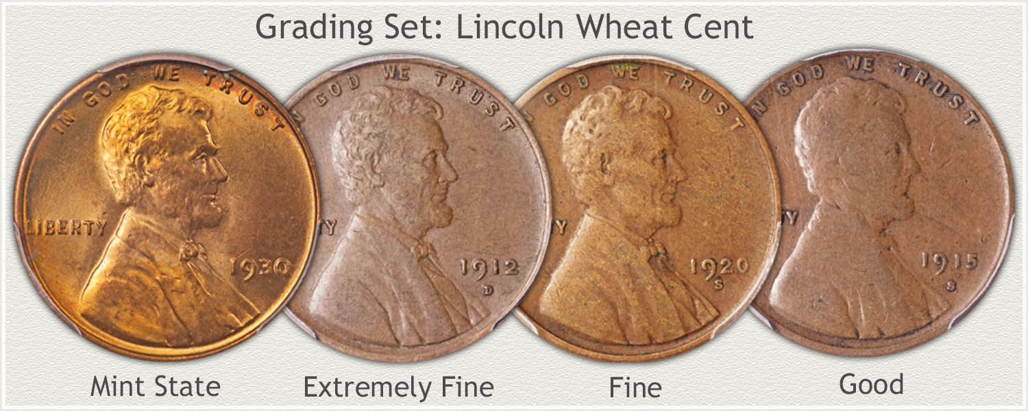 Grading Set Lincoln Wheat Cents