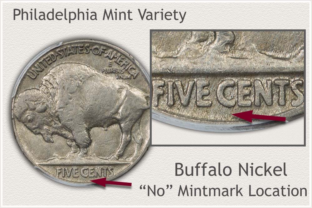 Close Up Identifying the No Mintmark Buffalo Nickel