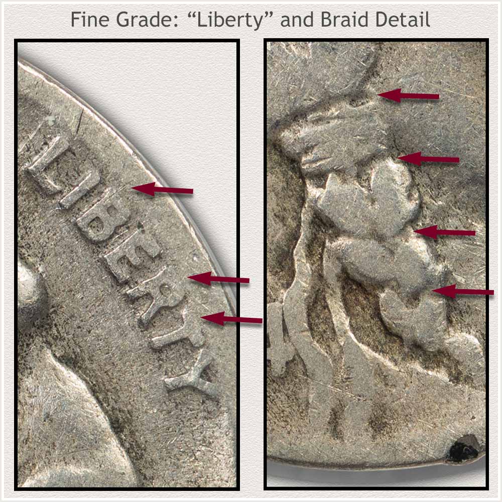 Details of Lettering and Braid Highlighted on a Fine Grade Buffalo Nickel